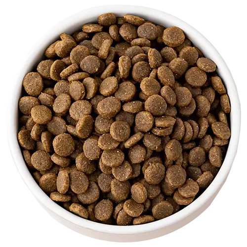 Dry dog food